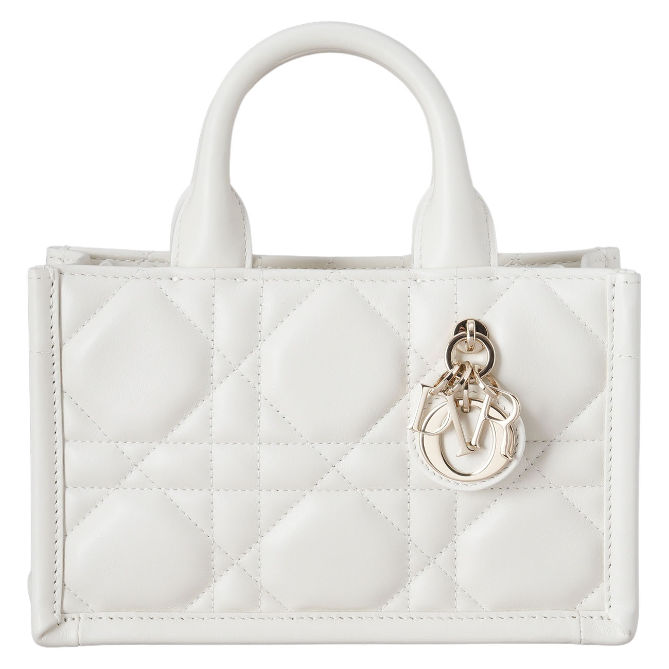 CHRISTIAN DIOR(USED)디올 북토트 미니 백
